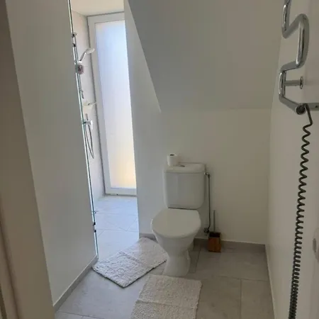 Apartamentai Kunigiskese
