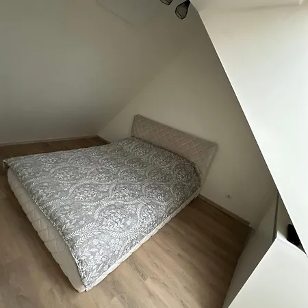 Apartamentai Kunigiskese アパート パランガ