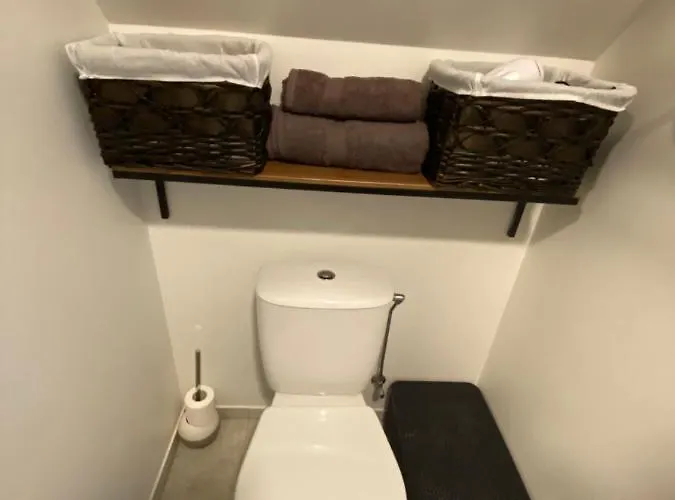 Apartamentai Kunigiskese דירה פלאנגה